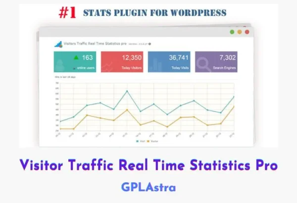 Visitor Traffic Real Time Statistics Pro Plugin