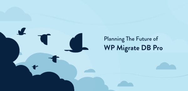 WP Migrate DB Pro Plugin